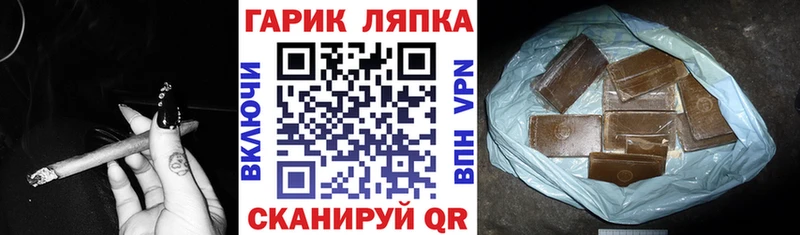 где найти   Лодейное Поле  ГАШИШ Cannabis 