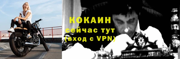 амф Аркадак