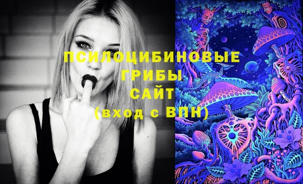 амф Аркадак
