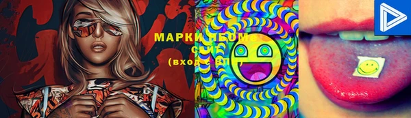 амф Аркадак